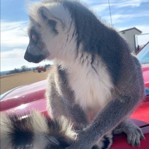 Meet your Posher, Danni